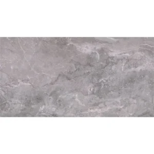 Mono Serra Floor Tiles Excalibur Scuro Grigio Matte 12" x 24"