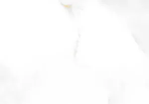 Mono Serra Wall Tiles Luxury Calacatta Oro Matte 10" x 30"