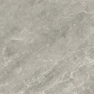 Mono Serra Floor Tiles Balmoral Gray Polished Glossy 24" x 24"