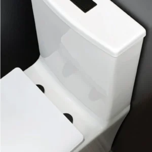 Toilet cover and flush button