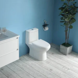 10in Installation from Finished Wall One-piece Toilet