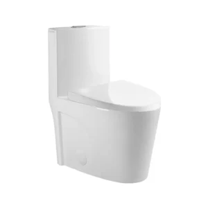 One-piece Dual-Flush Toilet