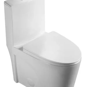 One-piece Dual-Flush Toilet