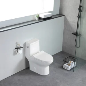 One-piece Single Flush Toilet