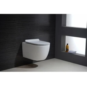 White Round Mounted Toilet