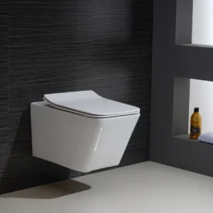 White Wall Mounted Toilet