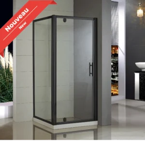 ROSA 36x36in Corner Shower Door