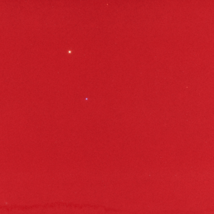 TCE 1538 Electric Red