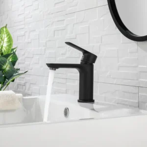 Matte Black One Hole Vanity Faucet with Rounded Corners