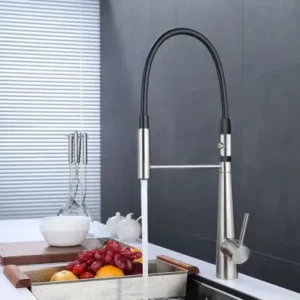 Single Handle Pull-Out Kitchen Faucet with 2 Spouts