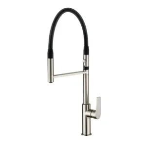 Single Handle Pull-Out Kitchen Faucet with 2 Spouts Nickel