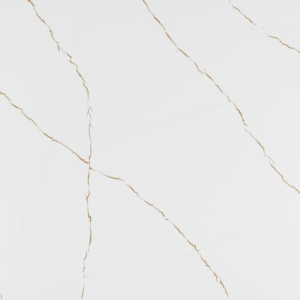 *TCE 2049 Calacatta Dorato