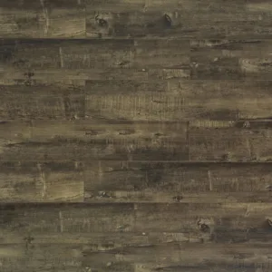 TF6011-F | Alexander