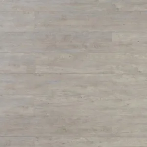 TFSPC404-F | Hedgehog