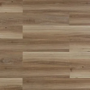 TFSPC409-F | Biscotti