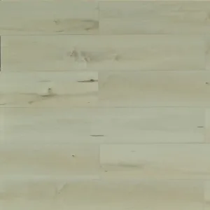 TFSPC612-F | Belgrade